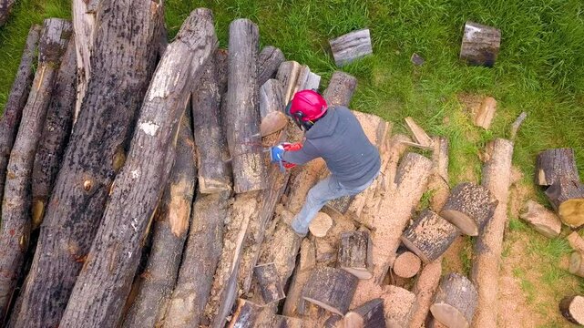 Lumberjack with a chainsaw cutting trees in the forest. Preparing firewood for winter. Top down view. Aerial view from drone
