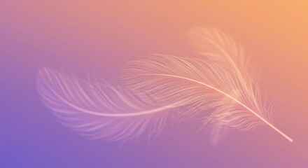 Delicate White Feathers on Soft Pastel Gradient Background Dreamy and Airy Design