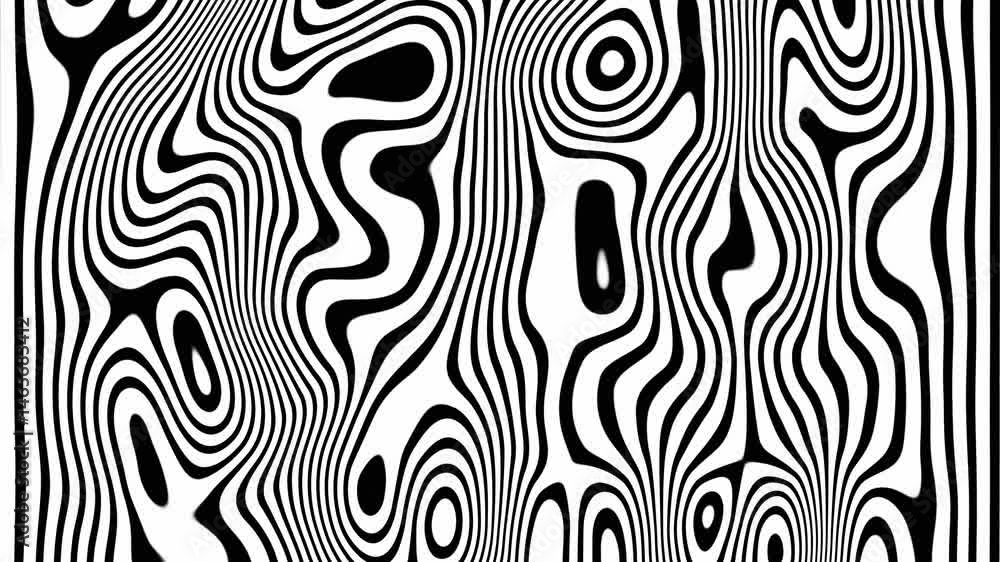 Poster abstract monochrome wavy lines fluid pattern: hypnotic black and white 4k looping animation with dyn