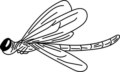 Dragonfly resting hand-drawn dragonfly sketch vector illustration