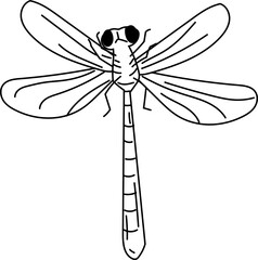 Dragonfly wings up hand-drawn dragonfly sketch vector illustration