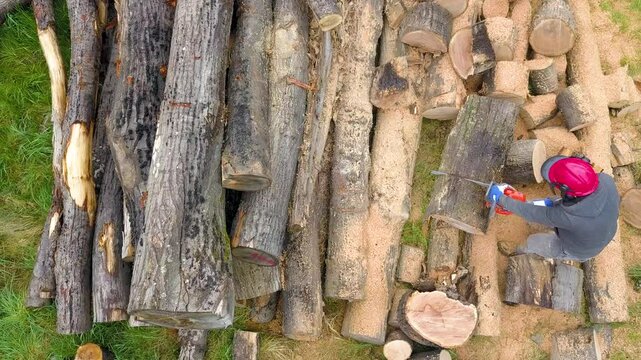Lumberjack with a chainsaw cutting trees in the forest. Preparing firewood for winter. Top down view. Aerial view from drone
