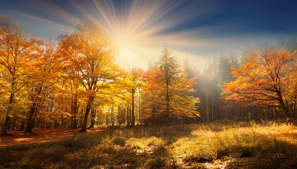 Fototapeta premium beautiful autumn landscape with yellow autumn trees and sun colorful foliage in the forest natural background