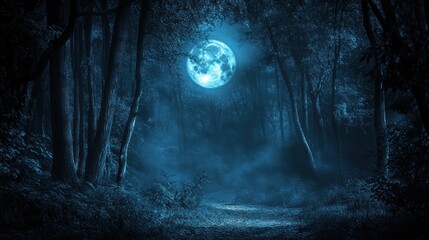 Full Moon Shining Brightly Over Mysterious Dark Forest Path Scene