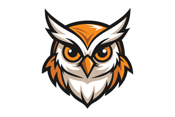 Focused owl face with orange and white feathers and piercing eyes looks ahead