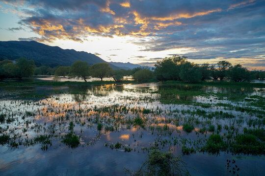 Shkodra lake at sunset, Albania