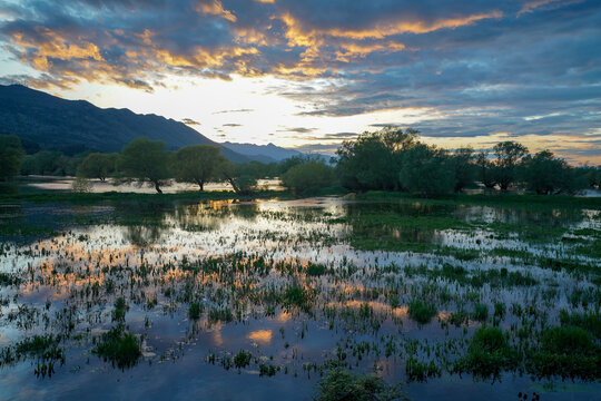 Shkodra lake at sunset, Albania