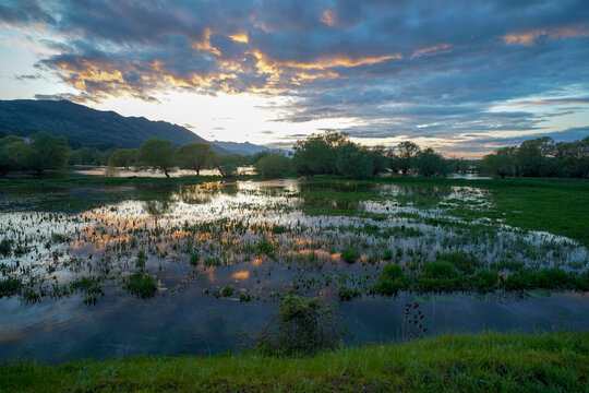 Shkodra lake at sunset, Albania