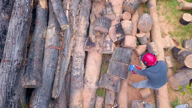 Lumberjack with a chainsaw cutting trees in the forest. Preparing firewood for winter. Top down view. Aerial view from drone
