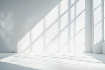 Obraz premium White room interior with sun shadows, blank space