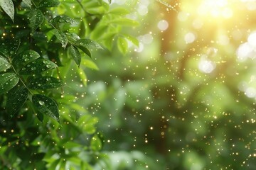 Lush greenery illuminated by sunlight and sparkling particles.