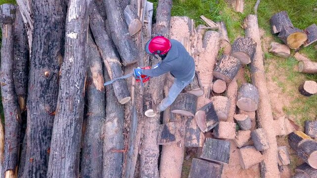 Lumberjack with a chainsaw cutting trees in the forest. Preparing firewood for winter. Top down view. Aerial view from drone
