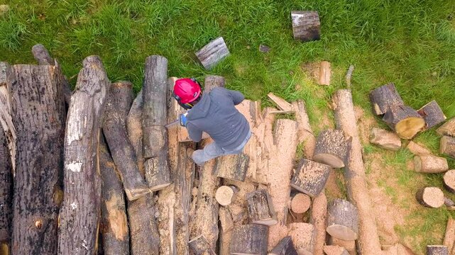Lumberjack with a chainsaw cutting trees in the forest. Preparing firewood for winter. Top down view. Aerial view from drone
