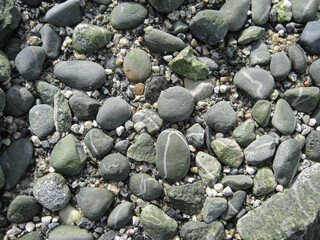 The Pebbly Beach Of New Brighton Park