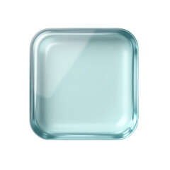 Elegant glass plate for stylish food presentation.