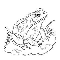 Black and white line art illustration of a toad on grass. Perfect for coloring pages, educational materials, tattoo references, and amphibian-themed design projects.