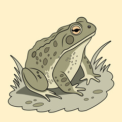 Detailed, colored illustration of a toad in its natural habitat. Perfect for educational materials, nature-themed designs, and digital art projects.