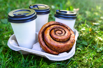 Picnic Coffee and Pastry Treats on Park Grass