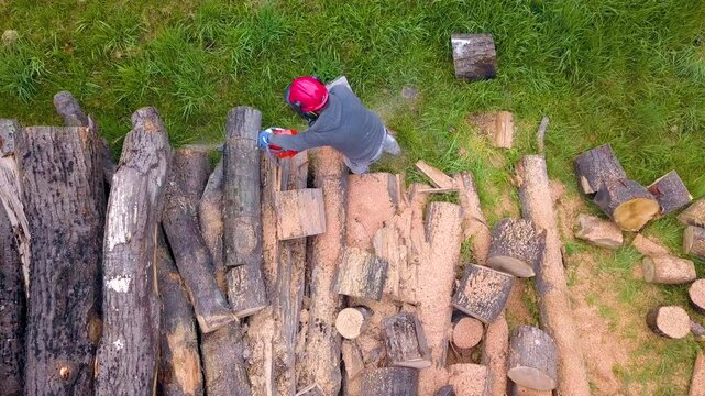 Lumberjack with a chainsaw cutting trees in the forest. Preparing firewood for winter. Top down view. Aerial view from drone
