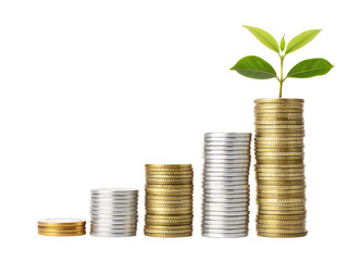 Stacks of coins ascending with a plant growing atop the tallest stack on a black background