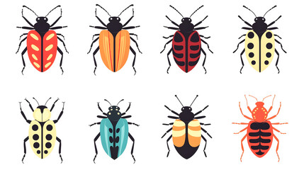 Professional flat animal vector set of beetles for illustrations in pro style