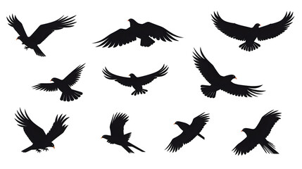 Obraz premium Detailed Eagle Bird Black Silhouette Isolated Flat Vector Illustration for Designs