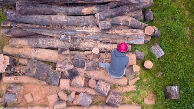 Lumberjack with a chainsaw cutting trees in the forest. Preparing firewood for winter. Top down view. Aerial view from drone
