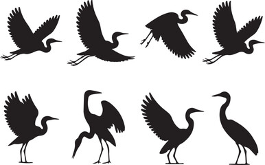 bird, animal, nature, vector, illustration, wildlife, beak, isolated, heron, silhouette, black, white, crane, stork, pelican, feather, wild, wing, flying, cartoon, hummingbird, birds, water, art, fly