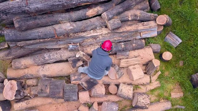 Lumberjack with a chainsaw cutting trees in the forest. Preparing firewood for winter. Top down view. Aerial view from drone
