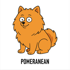 Vector Cartoon Character Illustration Pomeranian Dog Breed