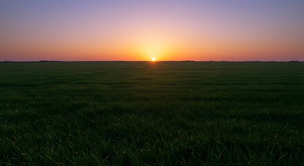 Sunrise Over Green Field Landscape with Vibrant Sky