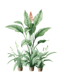 Botanical elegance: stylized illustration of tropical plants against a dark backdrop