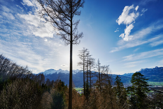 View from Schalun Castle (German Burg Schalun or Ruine Schalun), also known as Wildschloss (Castle in the wild) - Vaduz, Liechtenstein, Euorpe