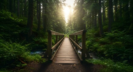 Obraz premium Walking on Forest Bridge with Sunlight Streaming Through the Trees