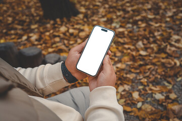 Person holding a smartphone with blank white screen in an autumn park. Hands in beige sweater and fitness band, sitting among fallen yellow leaves and wooden stumps