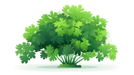 Fototapeta premium Parsley Plant with Lush Green Foliage Flat Vector Illustration for Culinary Herbs Menu Design