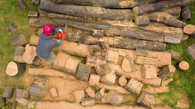 Lumberjack with a chainsaw cutting trees in the forest. Preparing firewood for winter. Top down view. Aerial view from drone
