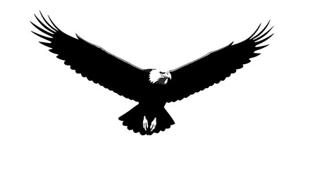 Obraz premium Bold black vector silhouette of a powerful eagle flying with wings fully spread, ideal for freedom, strength, wildlife, and patriotic-themed design projects