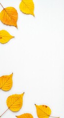Golden Autumn Leaves: Minimalist Nature Photography