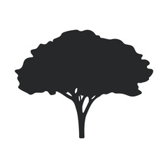 black tree
