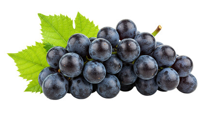Fototapeta premium Juicy Red Grapes
