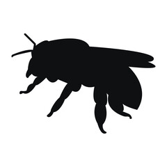 vector illustration of a bee