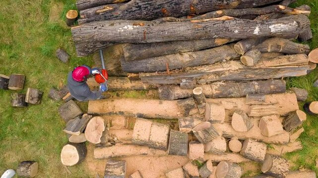 Lumberjack with a chainsaw cutting trees in the forest. Preparing firewood for winter. Top down view. Aerial view from drone
