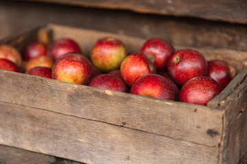 Fresh vegetables and fruits displayed at a local market during a sunny afternoon in a lively neighborhood