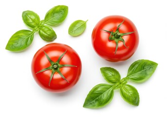 Fototapeta premium Arrangement of vibrant tomatoes and fresh basil leaves isolated on white background