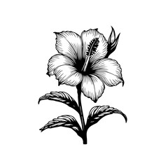 Detailed monochrome engraving of a hibiscus bloom, emphasizing refined artistic details © LgsDesign