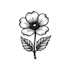 Elegant floral sketch on white backdrop, a single flower with leaves artwork