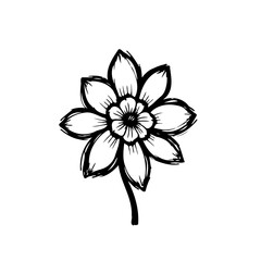 Simple monochrome sketch of a blooming flower, embodying minimalism and natural beauty