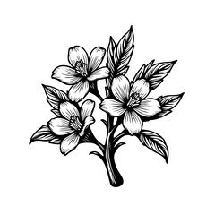 Obraz premium Delicate floral sprig drawing illustration, botanical engraved plant depiction