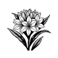 Elegant monochrome flower illustration with detailed petals and leaves design